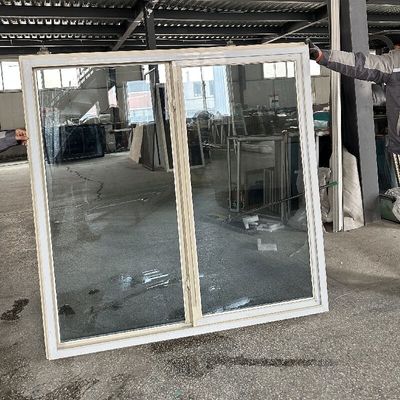 アメリカンスタイル Upvc スライディングドアと窓デザイン